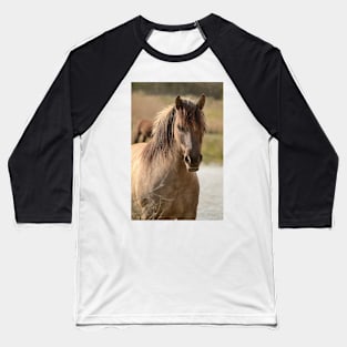 Portrait of a konik horse Baseball T-Shirt